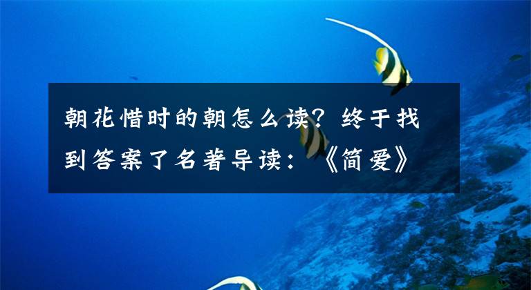 朝花惜时的朝怎么读？终于找到答案了名著导读：《简爱》《红岩》《朝花夕拾》知识点、习题大集合！