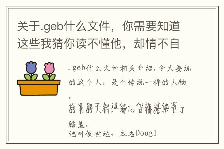 关于.geb什么文件，你需要知道这些我猜你读不懂他，却情不自禁地佩服
