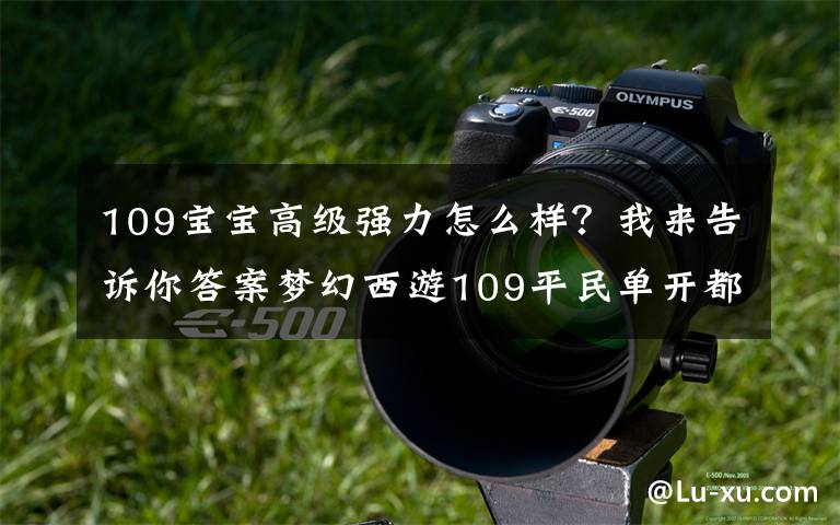 109宝宝高级强力怎么样？我来告诉你答案梦幻西游109平民单开都需要配什么宝宝？别傻乎乎啥都买