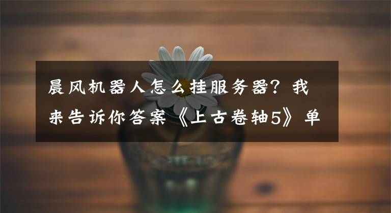 晨风机器人怎么挂服务器？我来告诉你答案《上古卷轴5》单双手武器使用心得