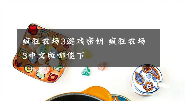 疯狂农场3游戏密钥 疯狂农场3中文版哪能下