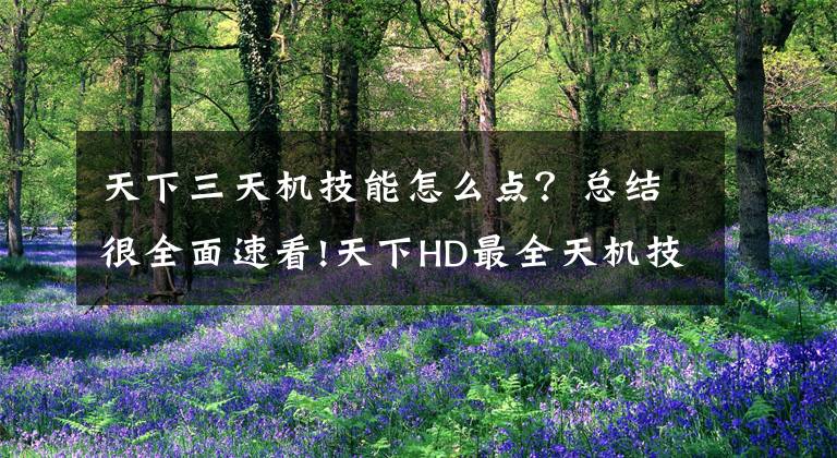 天下三天机技能怎么点？总结很全面速看!天下HD最全天机技能详解