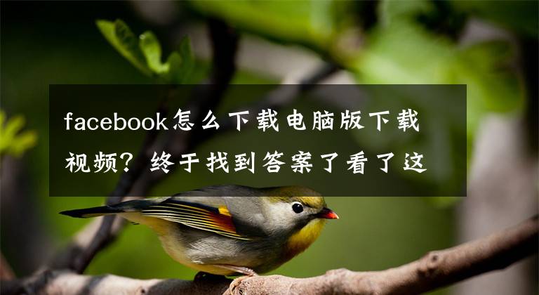 facebook怎么下载电脑版下载视频？终于找到答案了看了这篇文章，搞定视频下载