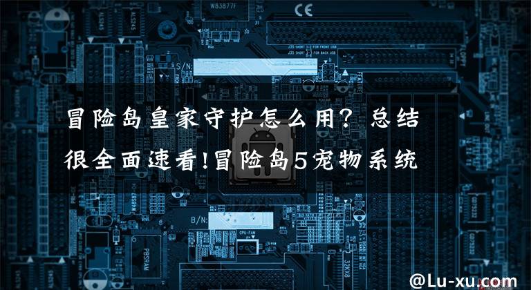 冒险岛皇家守护怎么用？总结很全面速看!冒险岛5宠物系统详解