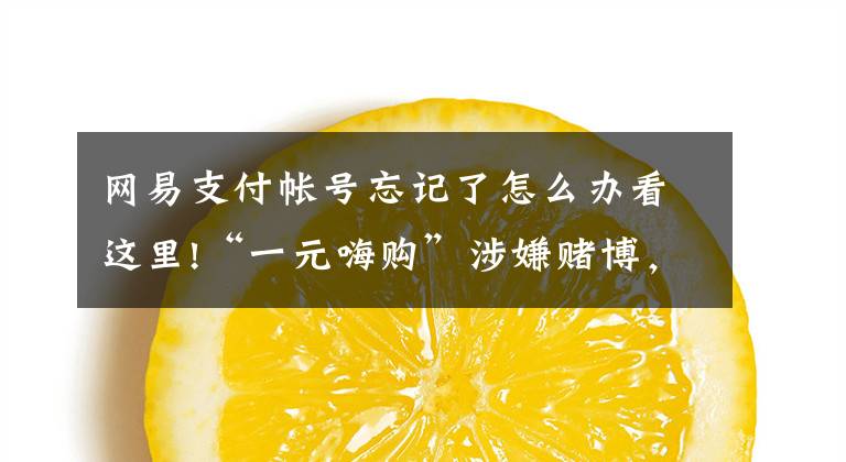 网易支付帐号忘记了怎么办看这里!“一元嗨购”涉嫌赌博，专家表示涉赌定性需明确