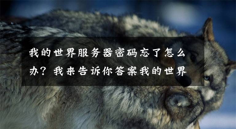 我的世界服务器密码忘了怎么办？我来告诉你答案我的世界如何开服 我的世界建立服务器方法