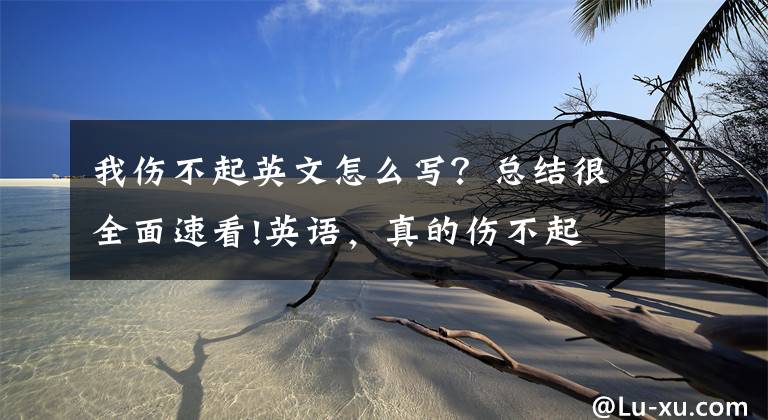 我伤不起英文怎么写？总结很全面速看!英语，真的伤不起