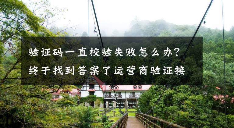 验证码一直校验失败怎么办？终于找到答案了运营商验证接口验证失败的原因