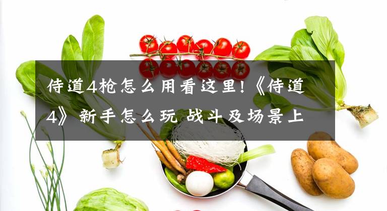侍道4枪怎么用看这里!《侍道4》新手怎么玩 战斗及场景上手指南