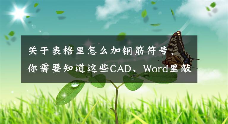 关于表格里怎么加钢筋符号，你需要知道这些CAD、Word里敲出钢筋符号和快速绘图的小窍门！
