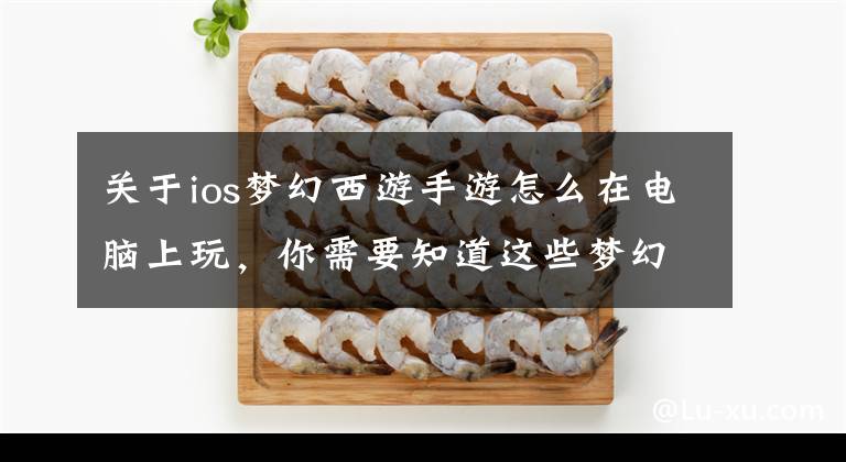 关于ios梦幻西游手游怎么在电脑上玩，你需要知道这些梦幻西游手游苹果版怎么在电脑上玩 苹果电脑版问题解答