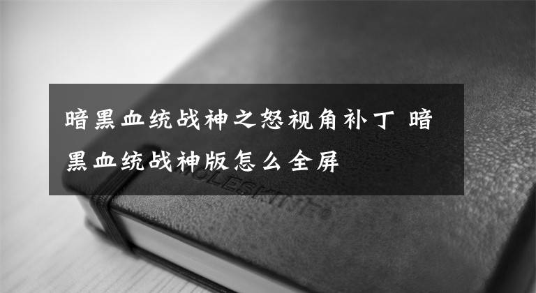 暗黑血统战神之怒视角补丁 暗黑血统战神版怎么全屏