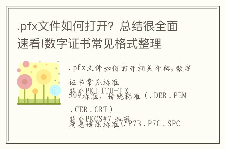 .pfx文件如何打开？总结很全面速看!数字证书常见格式整理