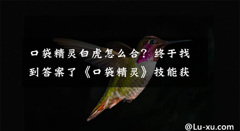 口袋精灵白虎怎么合？终于找到答案了《口袋精灵》技能获取及升级详解攻略
