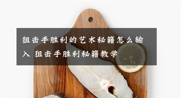 狙击手胜利的艺术秘籍怎么输入 狙击手胜利秘籍教学