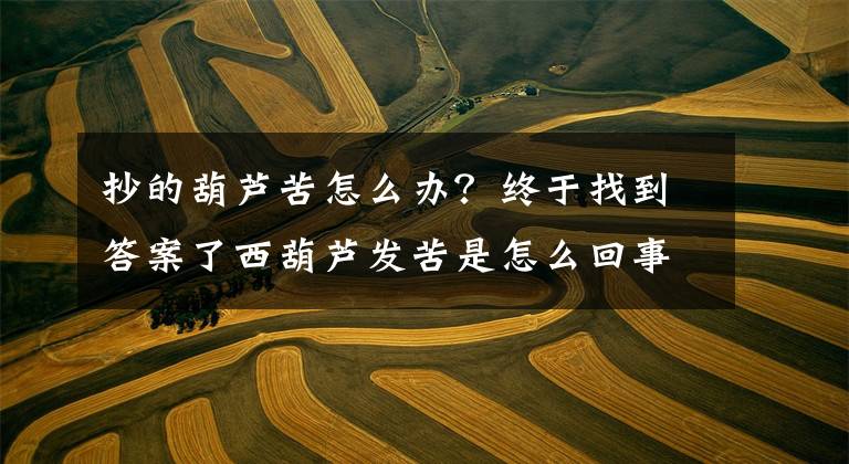 抄的葫芦苦怎么办？终于找到答案了西葫芦发苦是怎么回事 西葫芦发苦能吃吗
