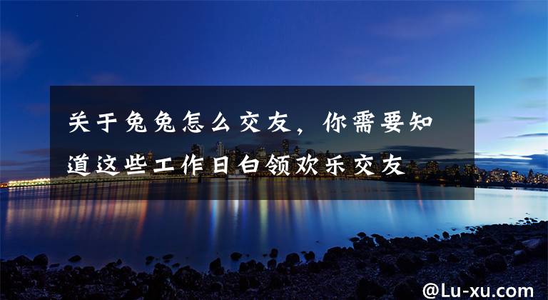 关于兔兔怎么交友，你需要知道这些工作日白领欢乐交友