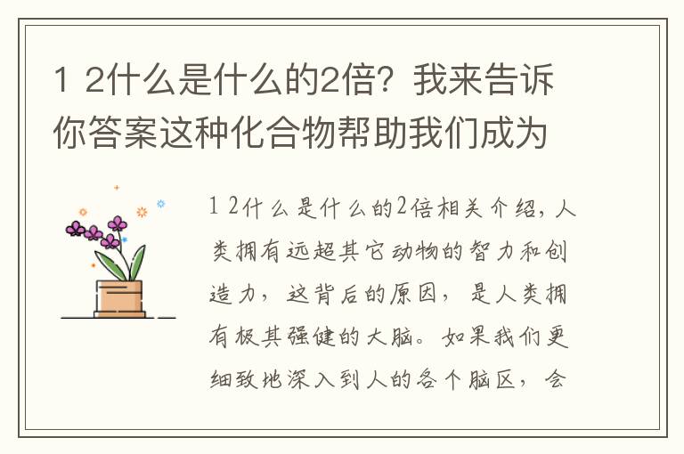 1 2什么是什么的2倍？我来告诉你答案这种化合物帮助我们成为最聪明的动物
