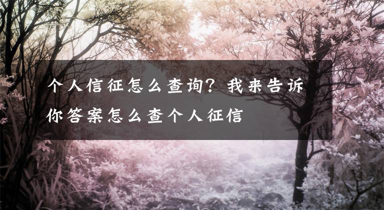 个人信征怎么查询？我来告诉你答案怎么查个人征信