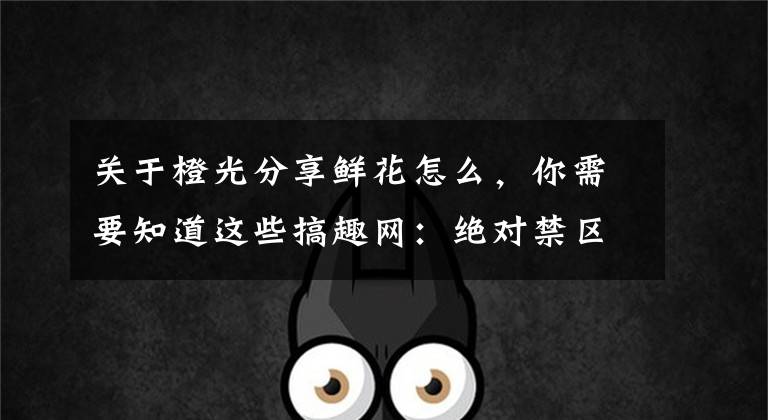 关于橙光分享鲜花怎么，你需要知道这些搞趣网：绝对禁区攻略 橙光游戏绝对禁区结局攻略