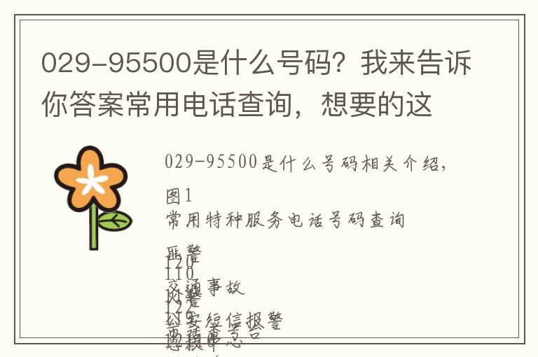 029-95500是什么号码？我来告诉你答案常用电话查询，想要的这儿都有~（收藏，以备不时之需）
