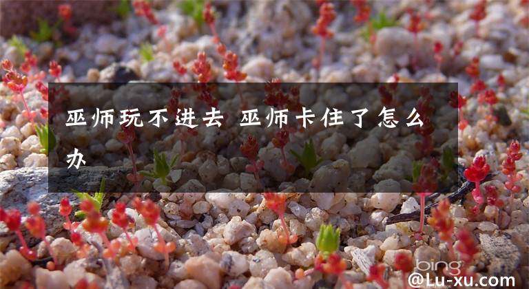 巫师玩不进去 巫师卡住了怎么办
