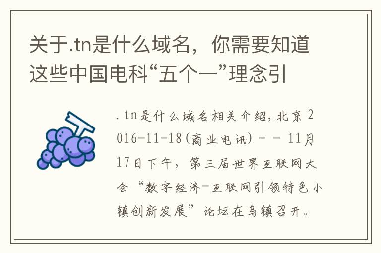 关于.tn是什么域名，你需要知道这些中国电科“五个一”理念引领互联网特色小镇建设