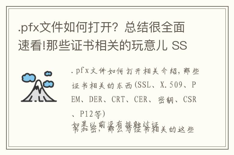 .pfx文件如何打开？总结很全面速看!那些证书相关的玩意儿 SSL,X.509,PEM,DER,CRT,CER,KEY,CSR,P12等