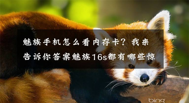 魅族手机怎么看内存卡？我来告诉你答案魅族16s都有哪些惊喜，这一文全部给你盘点了