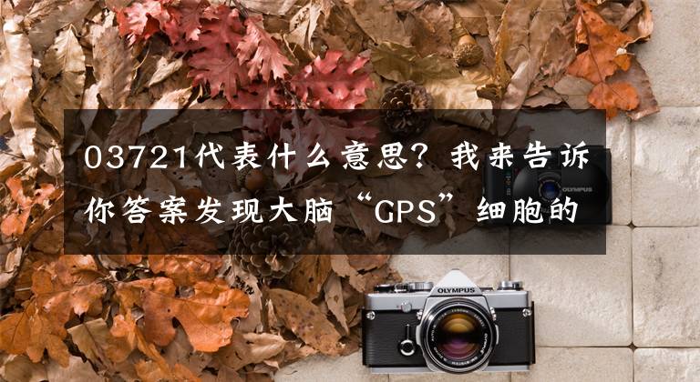 03721代表什么意思？我来告诉你答案发现大脑“GPS”细胞的诺奖得主：什么是生活的最优解？