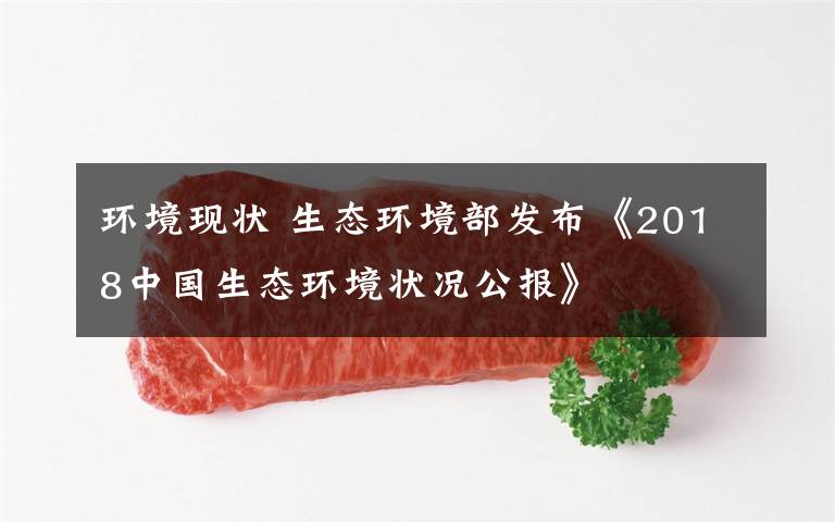环境现状 生态环境部发布《2018中国生态环境状况公报》