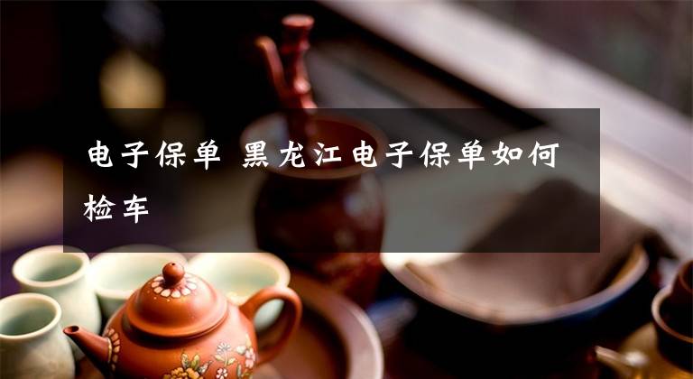 电子保单 黑龙江电子保单如何检车
