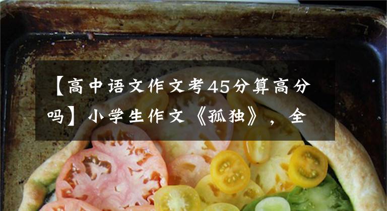 【高中语文作文考45分算高分吗】小学生作文《孤独》，全文15字满分，字少，但意境完美。