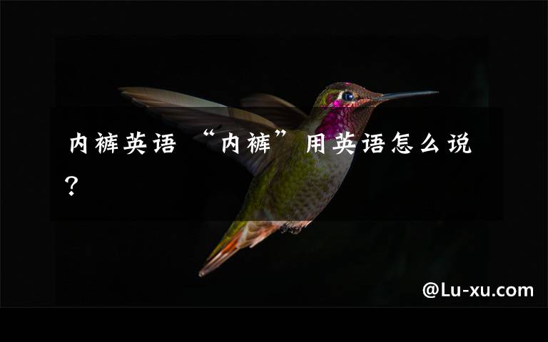 内裤英语 “内裤”用英语怎么说？