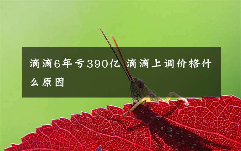 滴滴6年亏390亿 滴滴上调价格什么原因
