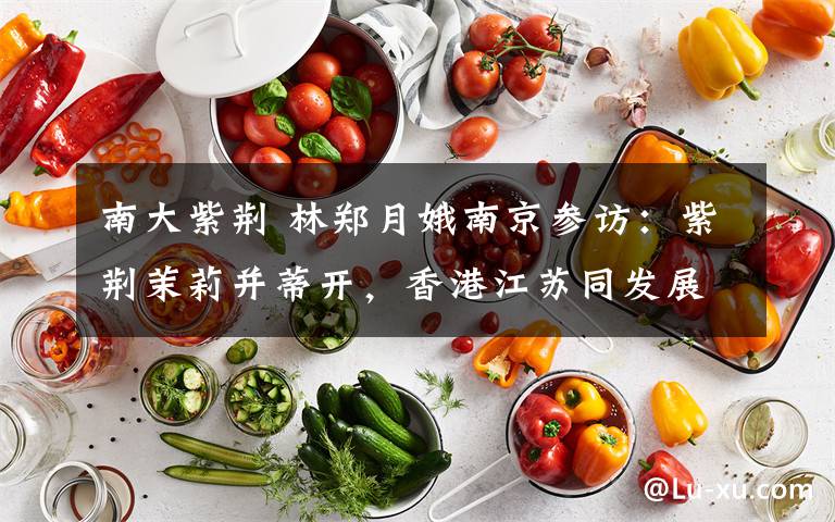 南大紫荆 林郑月娥南京参访：紫荆茉莉并蒂开，香港江苏同发展