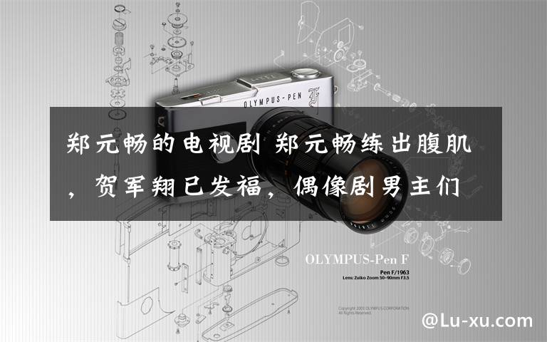 郑元畅的电视剧 郑元畅练出腹肌，贺军翔已发福，偶像剧男主们的人生大不同