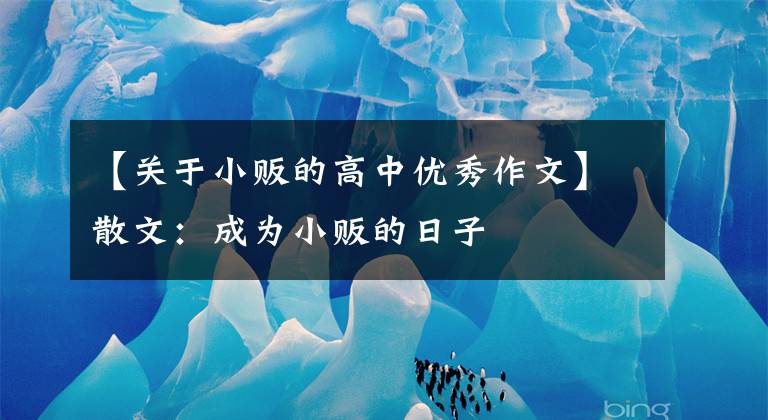 【关于小贩的高中优秀作文】散文：成为小贩的日子