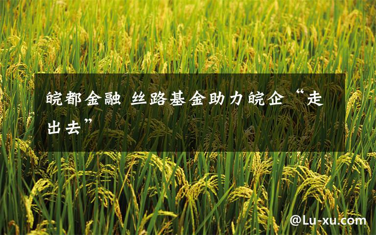 皖都金融 丝路基金助力皖企“走出去”