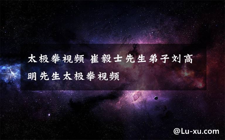太极拳视频 崔毅士先生弟子刘高明先生太极拳视频