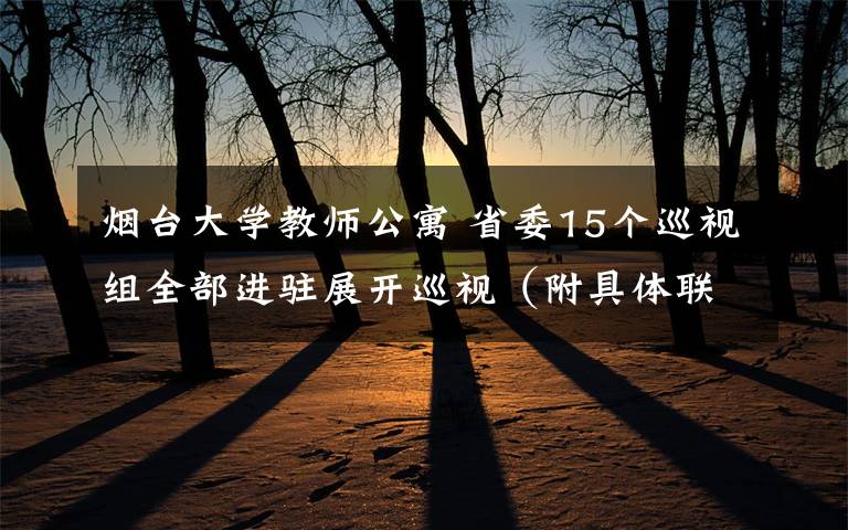 烟台大学教师公寓 省委15个巡视组全部进驻展开巡视（附具体联系方式）