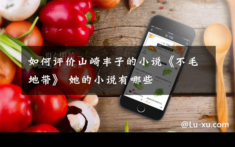 如何评价山崎丰子的小说《不毛地带》 她的小说有哪些