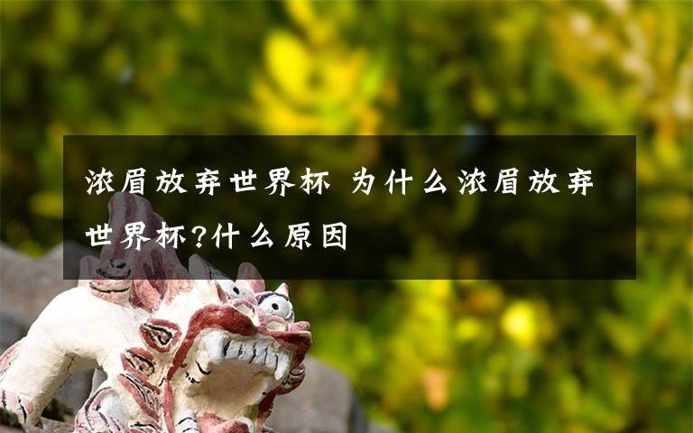 浓眉放弃世界杯 为什么浓眉放弃世界杯?什么原因