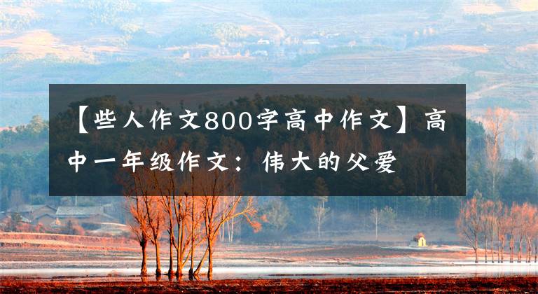 【些人作文800字高中作文】高中一年级作文：伟大的父爱