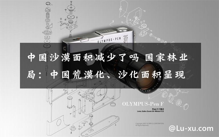 中国沙漠面积减少了吗 国家林业局：中国荒漠化、沙化面积呈现“双减少”