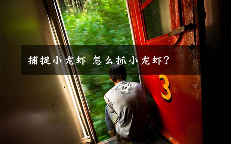 捕捉小龙虾 怎么抓小龙虾？