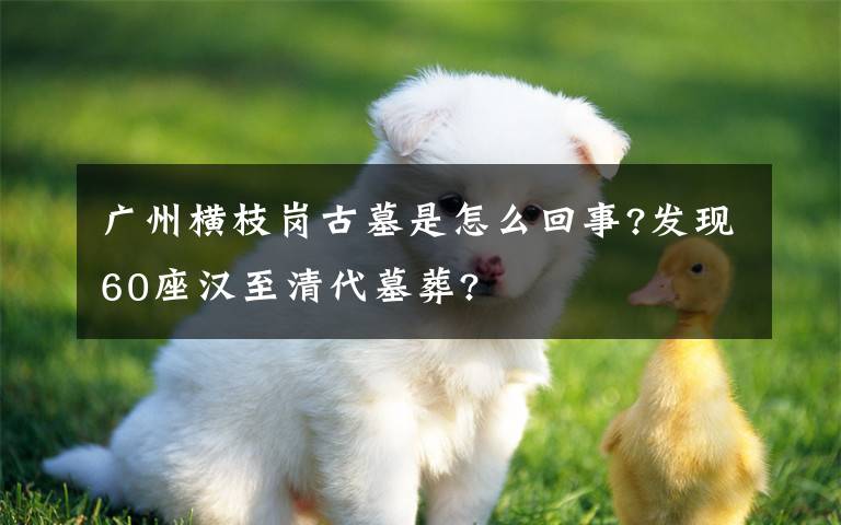 广州横枝岗古墓是怎么回事?发现60座汉至清代墓葬?