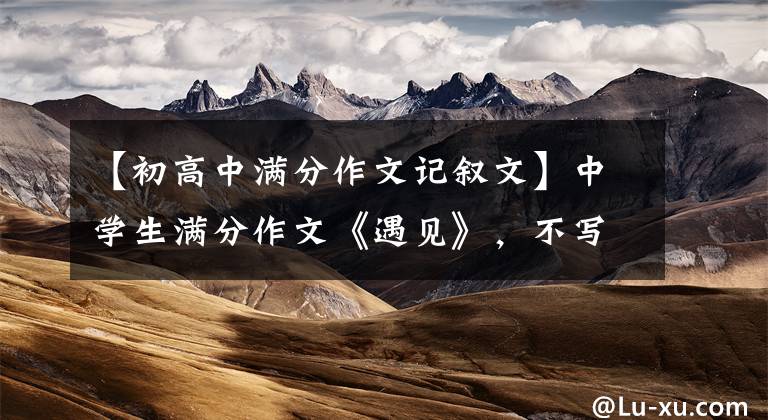 【初高中满分作文记叙文】中学生满分作文《遇见》，不写文章就变身事物，构思惊人。