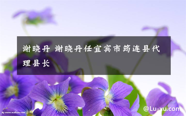 谢晓丹 谢晓丹任宜宾市筠连县代理县长