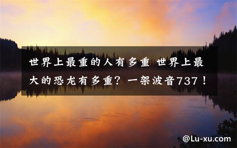 世界上最重的人有多重 世界上最大的恐龙有多重？一架波音737！